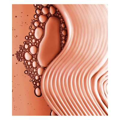 L'Oréal Paris Elvive Dream Lengths - Shampoo met Castorolie en Niacinamide - Lang en Beschadigd Haar - 250ml